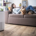 Measure Actual Size 20x20x4 Filter Before Purchase – Ensure a Perfect HVAC Fit